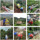 Farm Easy Climbing Monorail conveyor truck Self-propelled orchard electric motor engineering material transporter